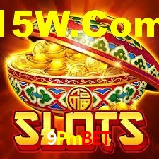 Premium Interface 9Pmbet